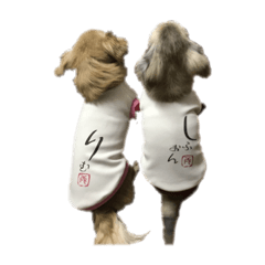 kawaii dog:RIMU&SHIFFON