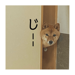 tell me_20250819210941