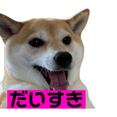 KIGANUU_20250819210318