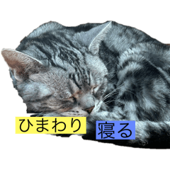 HIMAWARI_20250819223534