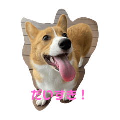 nanami_20250819225522