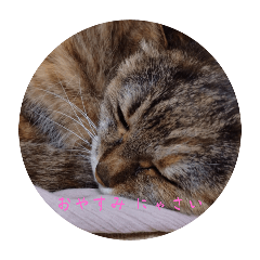 nozomi_20250818000938