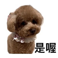 地獄惡犬 VISA4.0