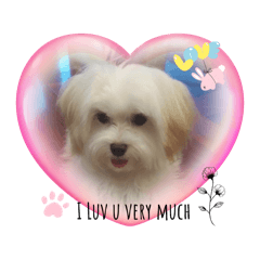 Cute dog stickers [Bunny]