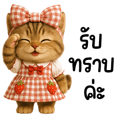 แมวสลิดน้อยชุดหวานแหว