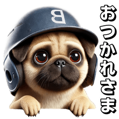 Pugs x baseball! So cute!