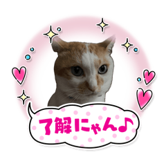 kaho_20250819210447