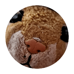 Aichan_20250818095516