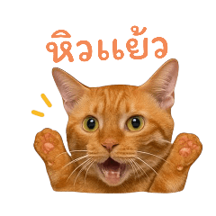I am Nam_20250820100650