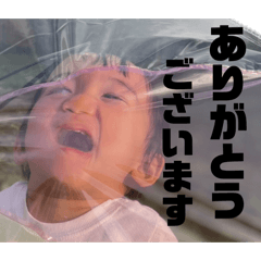 Shiho_20250816090756