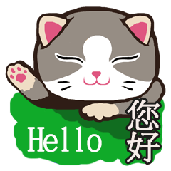 225_English_Taiwanese language