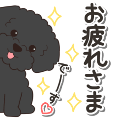 やさしいトイプードル『仕事＆連絡』