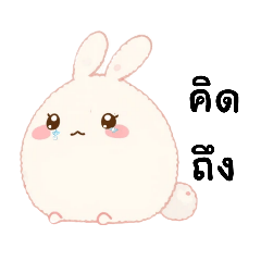 ปุยอ้วน:ขนฟูทักทายได้ทุกวัน