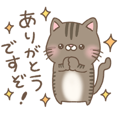 可愛いキジトラ猫「ミムチ」