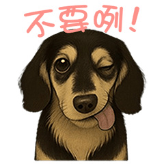 黑奶臘腸狗波比 -實用的國台語回覆篇