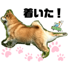 Mizuki_20250818075814