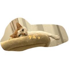 Lemon_20250820130903