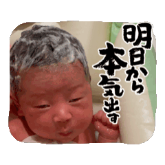 Mako_20250821071253