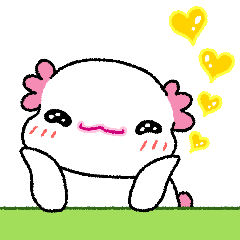 かわいい赤ちゃんウーパールーパー！