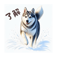 Ciel2580_20250820130436