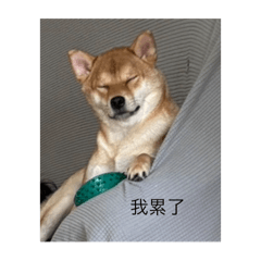 小小piu