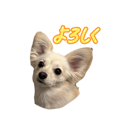 SHIHO_20250820205153