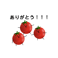 mochi_20250820210120