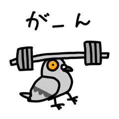 ジムハト&事務ハト