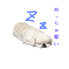 KASUMI_20250820171449