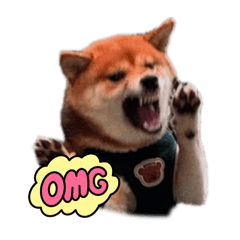 kinako_20250820171550