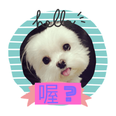 妞妞（馬爾濟斯）