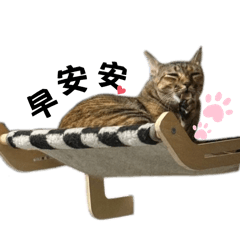 安安&巧克力^•͈ᴗ•͈^ ੭