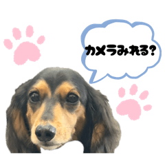 chi_20250820224352