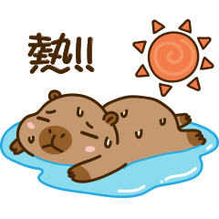 可愛的胖胖的水豚 V15 [夏日]