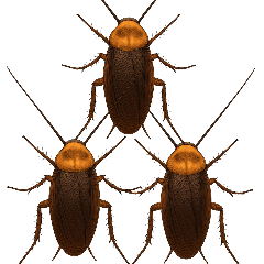 [ Animated Ver ] Cockroach Prank Part 1
