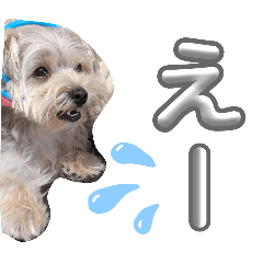 YUKA_20250820163513