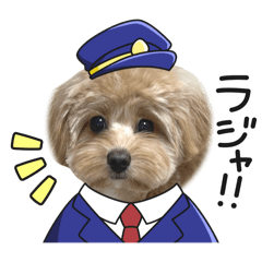 nanami_20250820122026