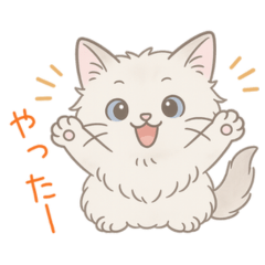 Ragdoll Kitten Stickers1