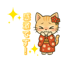 Polite Kimono Cat