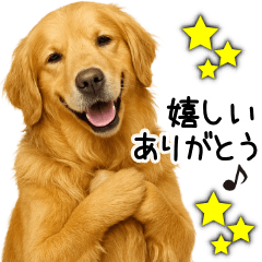 jolly Golden Retriever