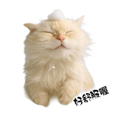 嘟嘟日常生活表情包（5）