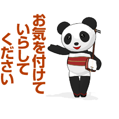 Shamisen panda