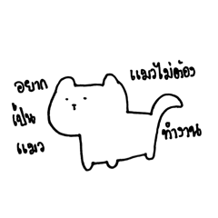 This cat loves her job