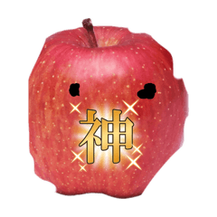 ringo_20250820190125