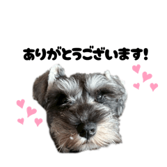 Mizuki_20250820191309