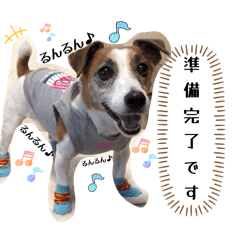 kiki_20250820191314