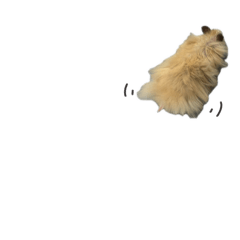 很多偷刀跟一些嘎嘎啊呼