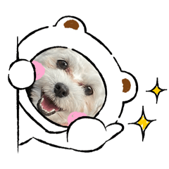 Maltese mol