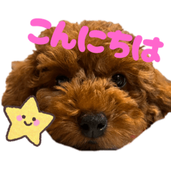 daichi_20250820145019