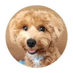 KITTY_20250820202602